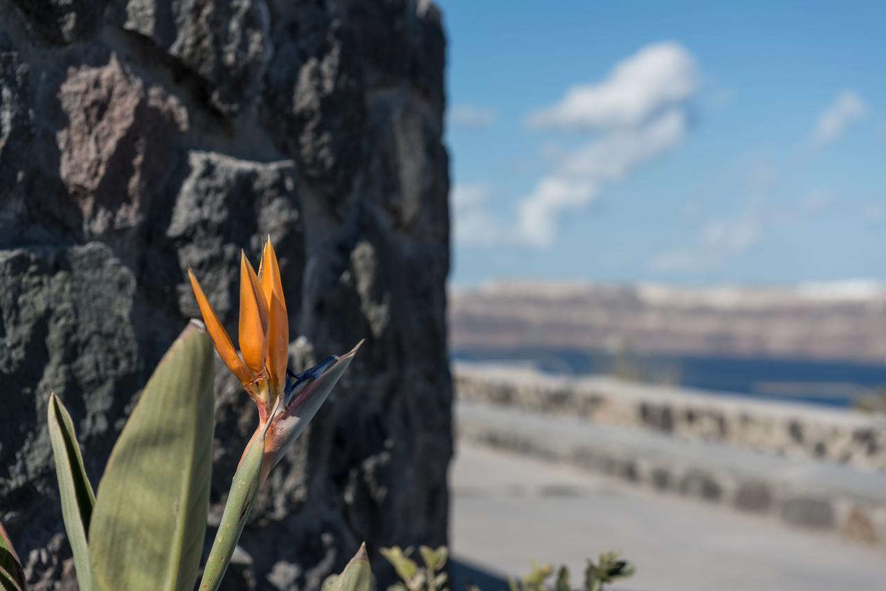 Elements Of Caldera Suites Akrotírion エクステリア 写真